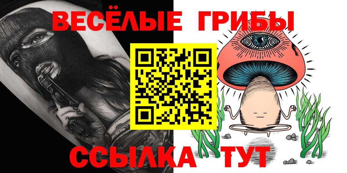 Галлюциногенные грибы GOLDEN TEACHER  Галлюциногенные грибы Cubensis  Вход с VPN  Вольск 